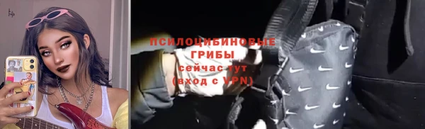 соль ск Волосово