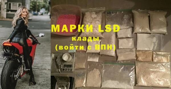 дживик Волоколамск